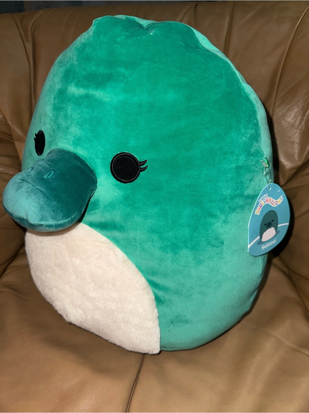 Selassi the platypus squishmallow 16 inch